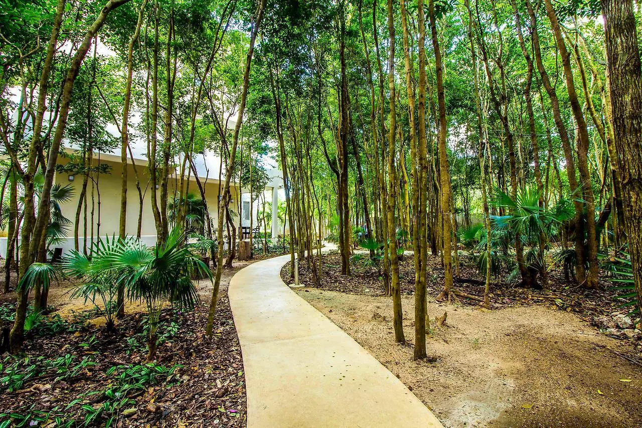 Condo Hotel El Vivero Tulum Mexico